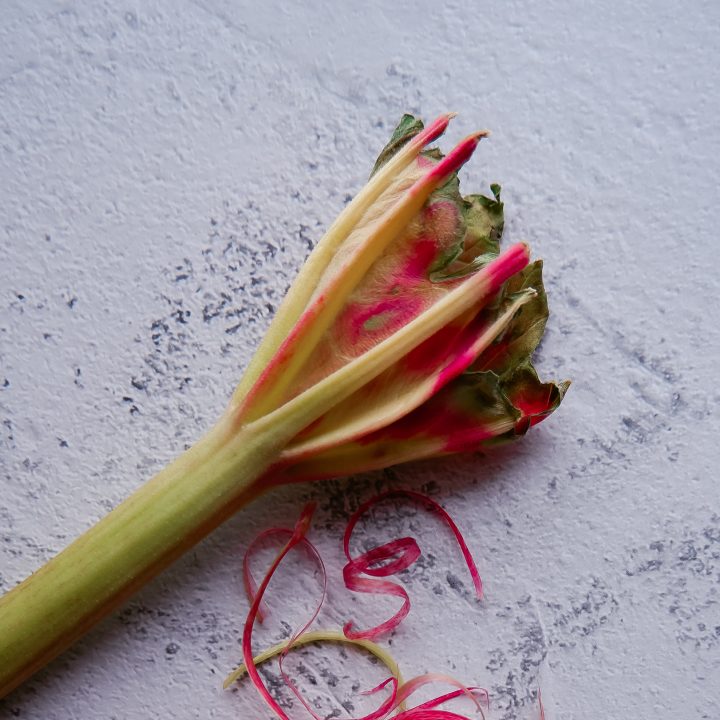 Rhabarber